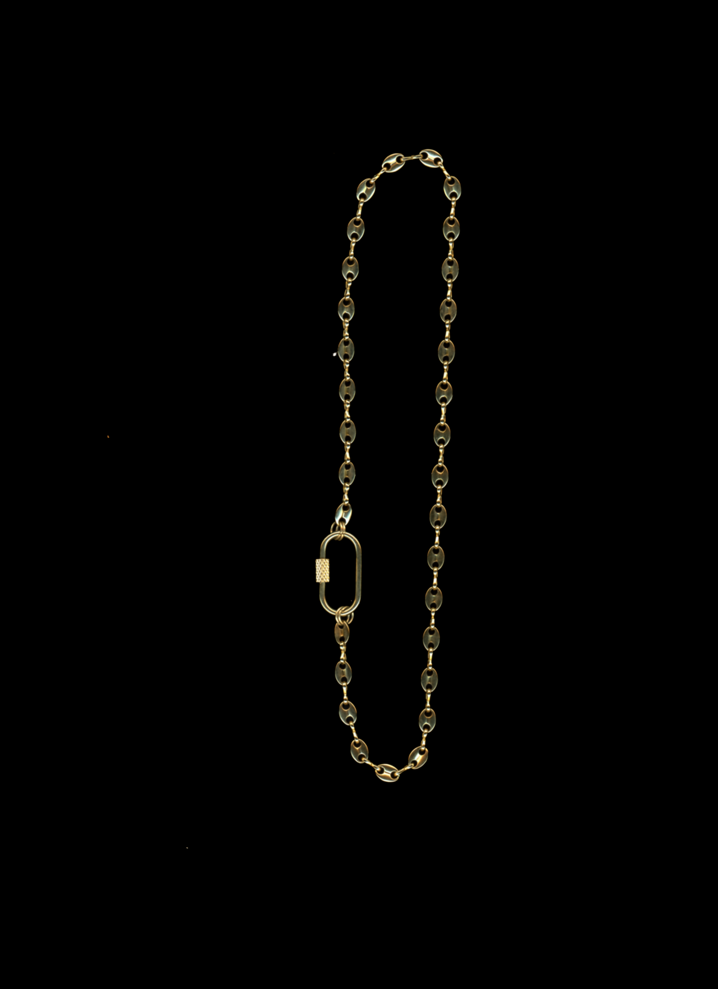The Lennox - Gold Plated Carabiner Chain