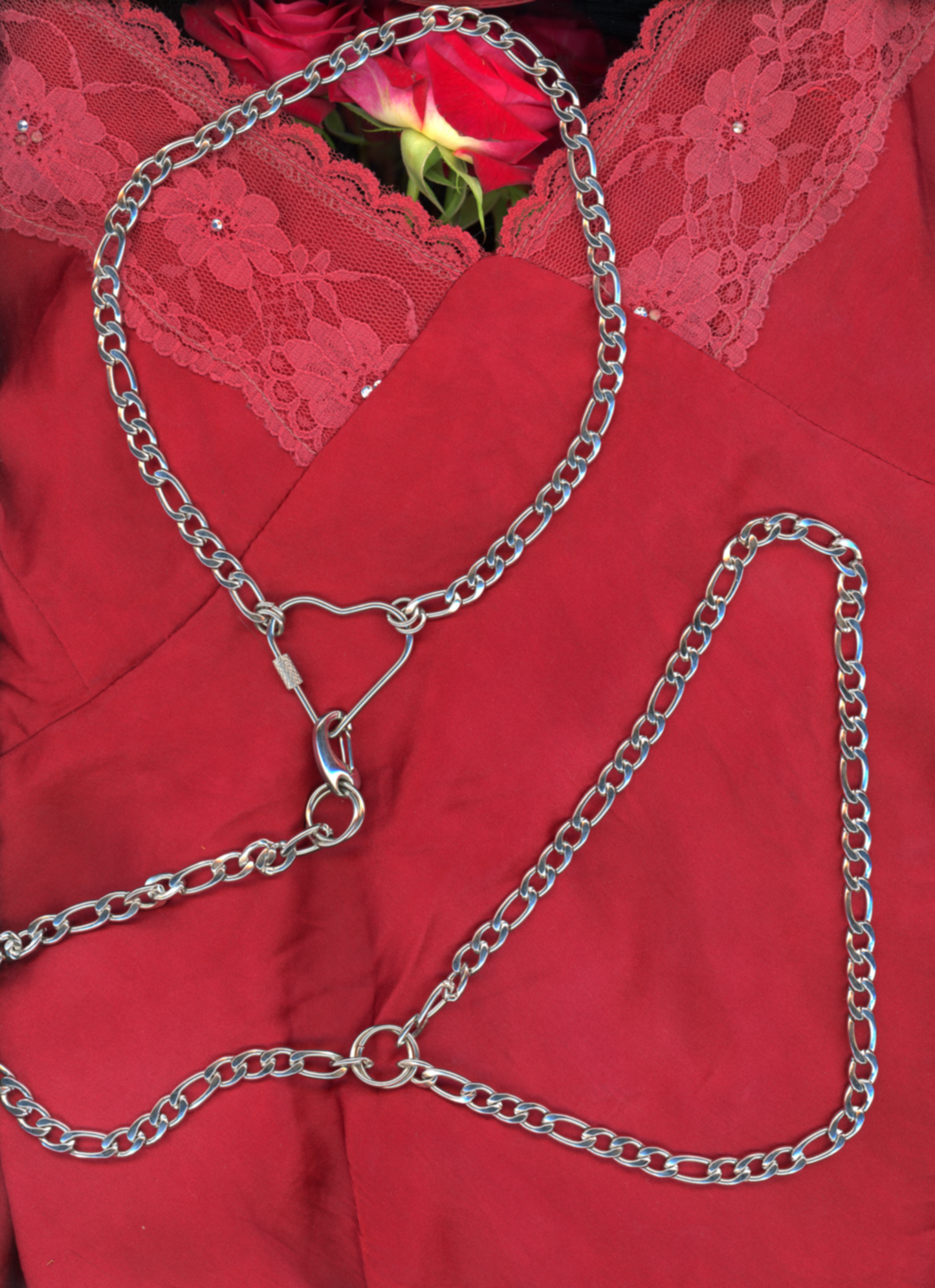 Yes, Please' Collar & Leash Set
