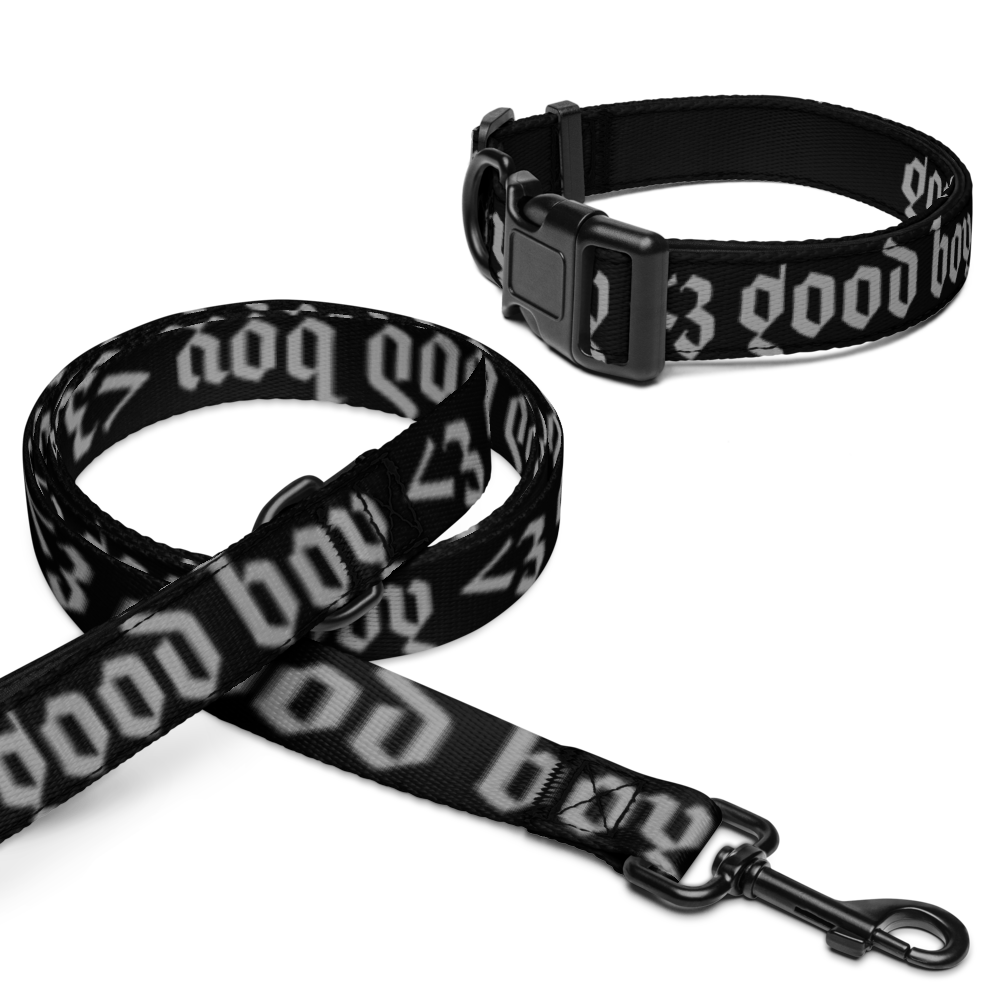 'good boy' gothic print pet collar & leash