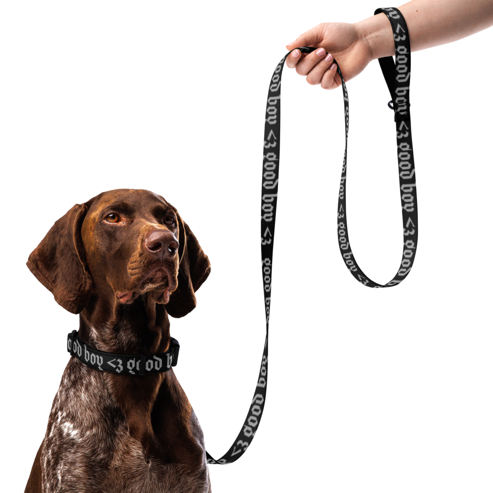 'good boy' gothic print pet collar & leash
