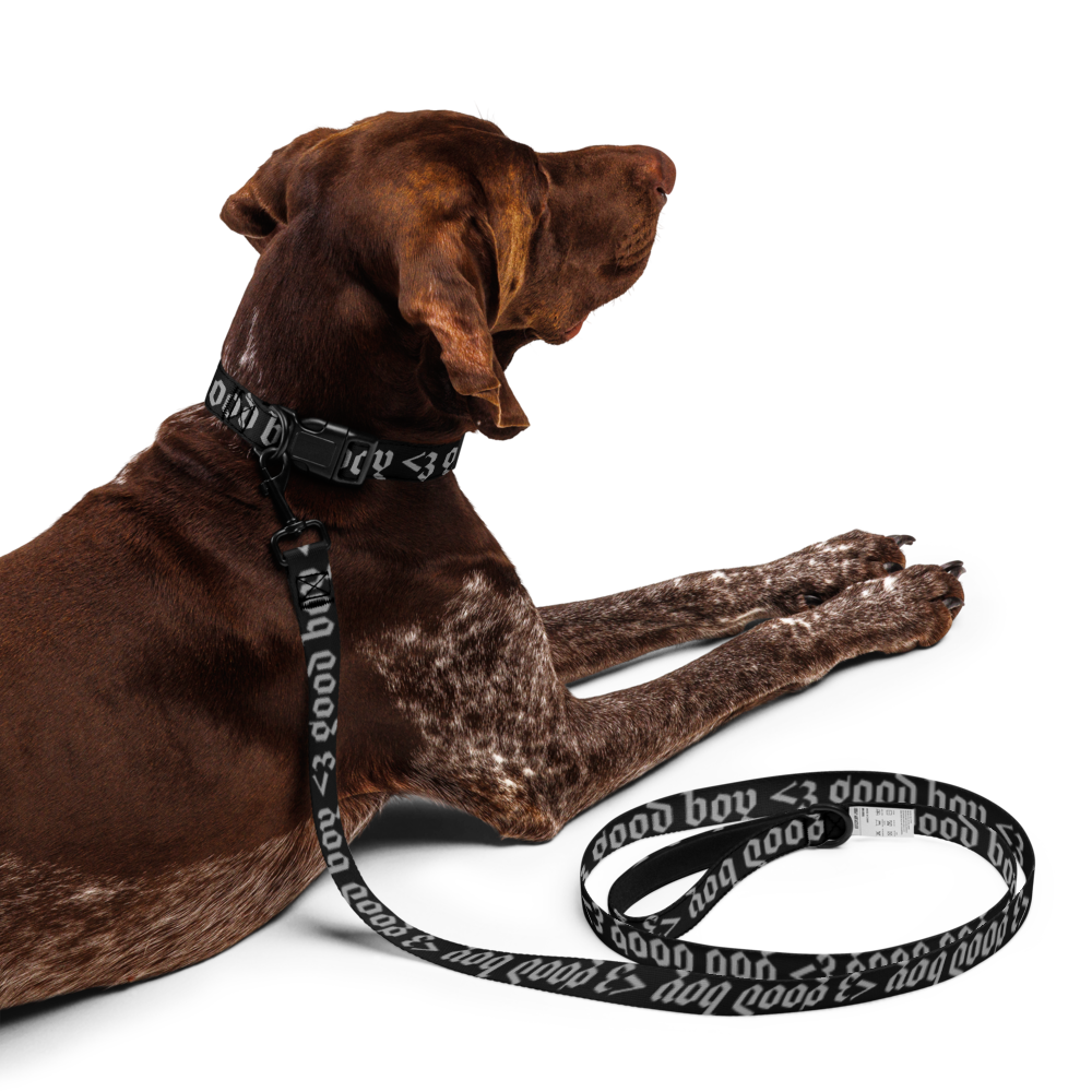 'good boy' gothic print pet collar & leash