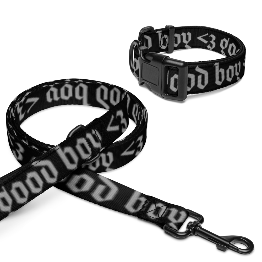 'good boy' gothic print pet collar & leash