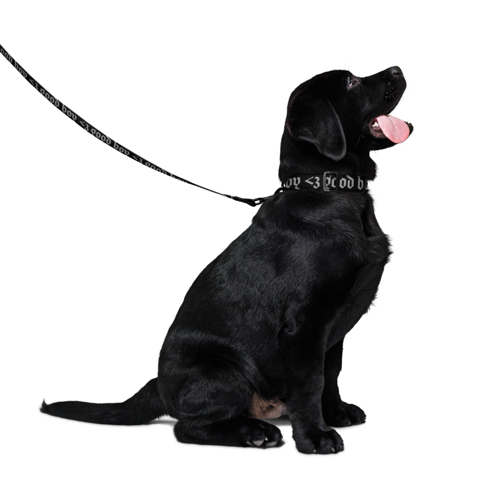 'good boy' gothic print pet collar & leash