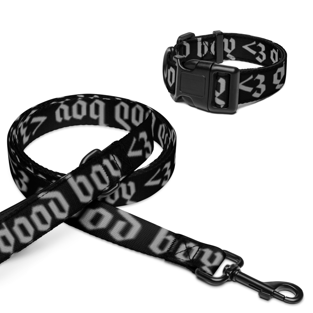'good boy' gothic print pet collar & leash