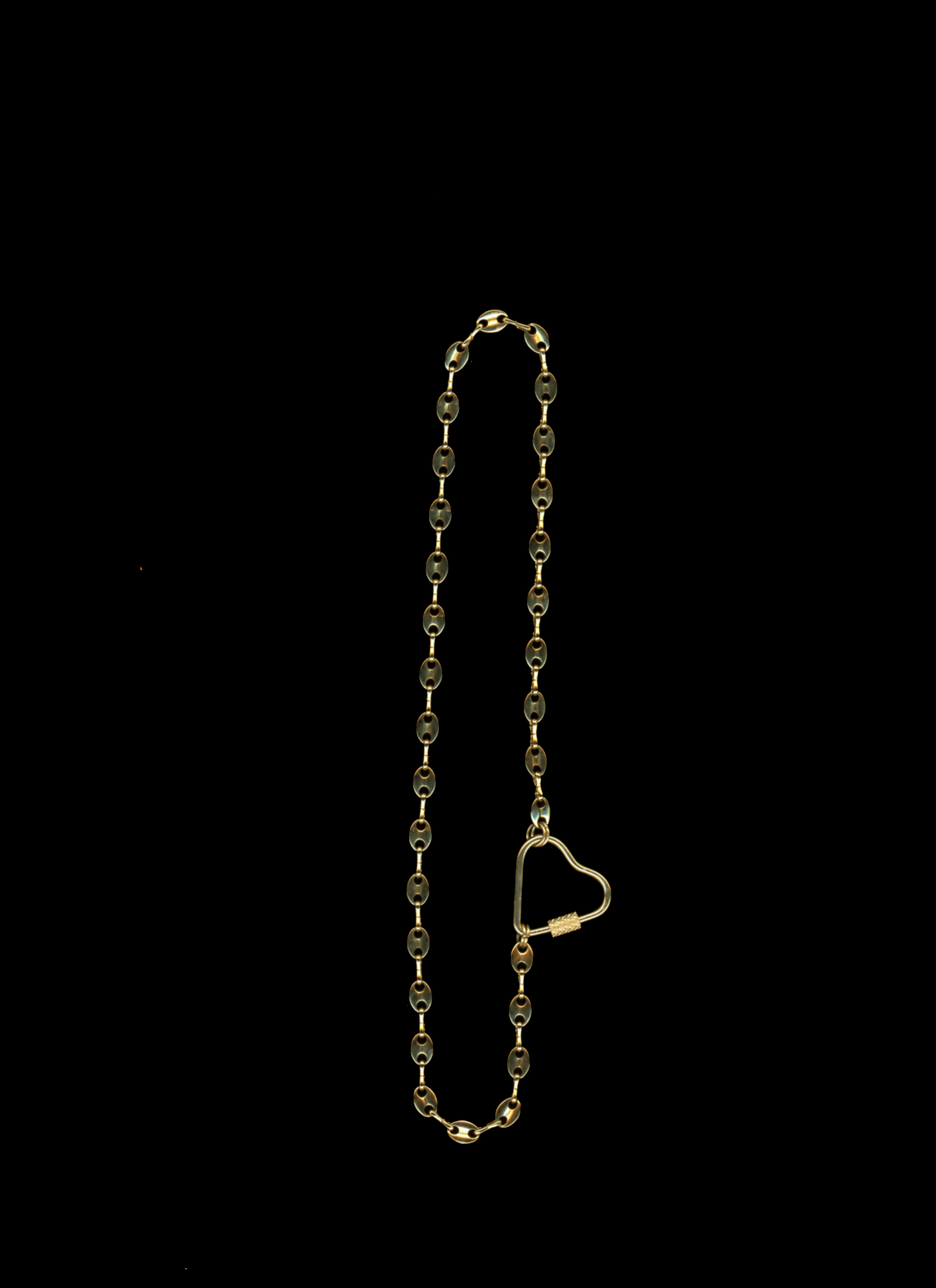 The Rory - Gold Plated Carabiner Chain